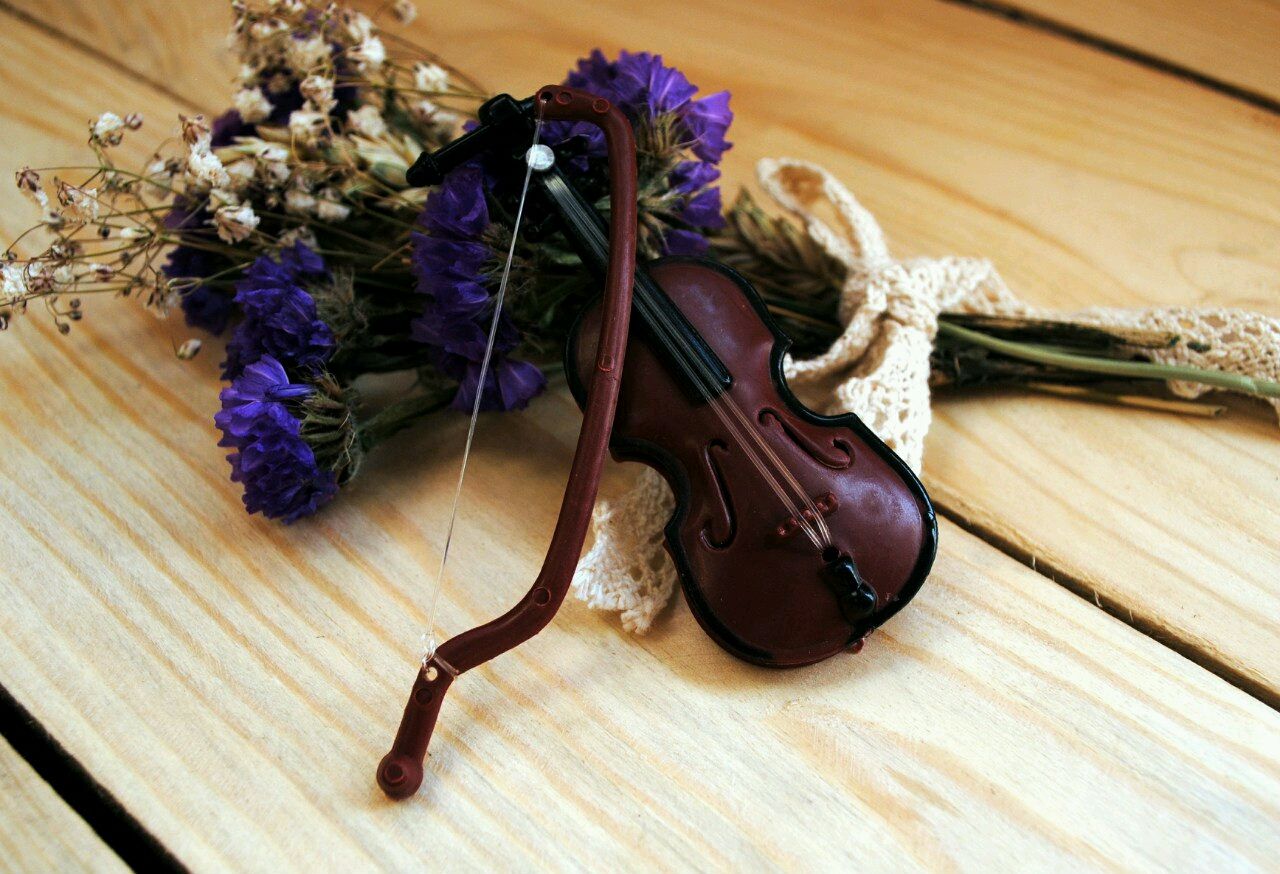 Скрипка деревянная. Кашпо скрипка. Кашпо скрипка деревянное. Кашпо скрипка для цветов. Кашпо скрипка с цветами.