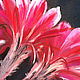  Flowering cactus. Print. Pictures. Valeria Akulova ART. My Livemaster. Фото №5