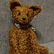  Лис Макс. Тедди Зверята. Ручные мишки Тедди (tamedteddybears). Ярмарка Мастеров.  Фото №6