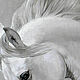 Картина лошадь маслом на холсте. Белая серая. Картины. Anya ✦ Портреты по фото (myportrait). Интернет-магазин Ярмарка Мастеров.  Фото №2