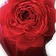 ЦВЕТЫ ИЗ ТКАНИ. Шифоновая роза "Белый гигант". Цветы. ЦВЕТЫ ИЗ ТКАНИ.  Светлана Лемаева. Ярмарка Мастеров.  Фото №5