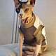 Clothing for cats T-shirt 'Sphinx kitten'. Pet clothes. Happy-sphynx. Online shopping on My Livemaster.  Фото №2