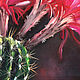  Flowering cactus. Print. Pictures. Valeria Akulova ART. My Livemaster. Фото №6