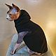 Clothing for cats 'Hoodie with fur 'Vest', Pet clothes, Biisk,  Фото №1