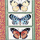 Вышитая картина "Бабочки", Картины, Новосибирск,  Фото №1