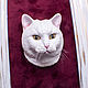 Three-dimensional cat in a frame based on a photo. Fine art photographs. artroombullibull. My Livemaster. Фото №5