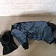 Order Cat Clothes 'Jumpsuit Down Jacket - Blue Metallic 2'. Happy-sphynx. Livemaster. . Pet clothes Фото №3