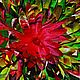 "Астра-Тропикана" ("Aster-Tropicana"). Брошь-булавка. La Fleur De Gale. Интернет-магазин Ярмарка Мастеров.  Фото №2