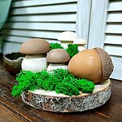 Материалы для творчества handmade. Livemaster - original item Mushroom and acorn tree, billet, toy, decor, sawn, moss, easter. Handmade.