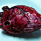 Имитация (бутафория) силиконовая - человеческое сердце, Подарки на 14 февраля, Санкт-Петербург,  Фото №1
