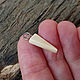 Order Rune Of Algiz. A small pendant made of a sperm whale tooth. Charm on the bracelet. . Bone and Stone, Runes and Amulets. Livemaster. . Charm Pendant Фото №3