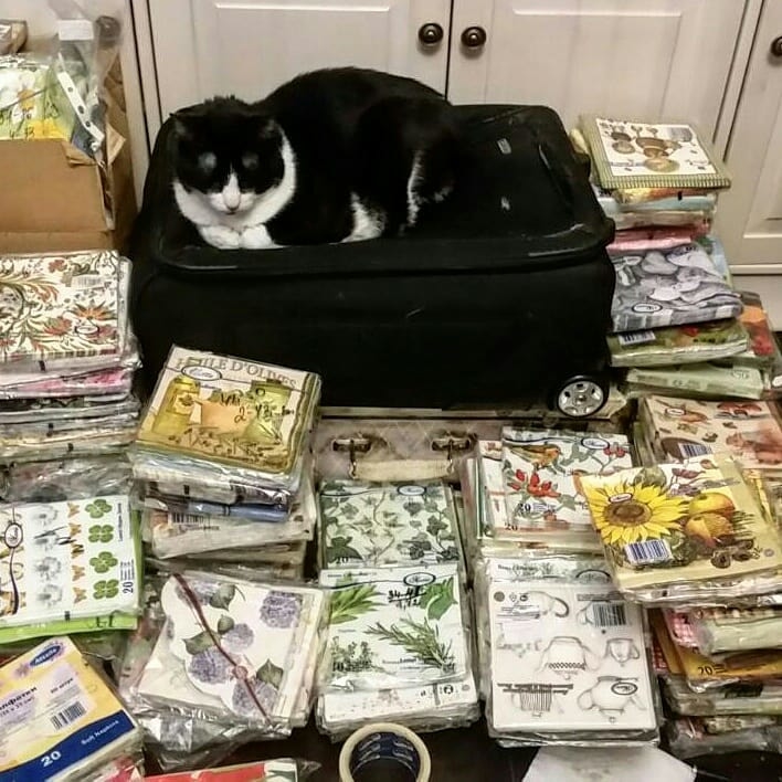 Мой профиль