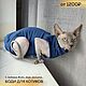 Боди для котиков. Одежда для питомцев. Одежда для кошек и собак  #CATS_DOGS_EXCLUSIVE_. Ярмарка Мастеров.  Фото №4