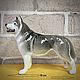 Husky in the rack: the author's statuette, Figurines, Moscow,  Фото №1