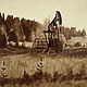 Картина нефтью "На опушке леса" Подарок нефтянику, Картины, Москва,  Фото №1