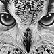 Order The painting is a Portrait of an owl, the paper. pencil, 40h40. vestnikova. Livemaster. . Pictures Фото №3