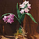 "дикая орхидея"  Acacallis cyanea