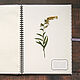 Herbarium album on a Flower spring (15 white sheets). Photo albums. Albums and notebooks (Anna). My Livemaster. Фото №5