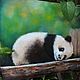 Panda. Pictures. nataly-k-art. Online shopping on My Livemaster.  Фото №2