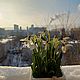 Композиция из подснежников. Цветы. Flower garden. Ярмарка Мастеров.  Фото №6