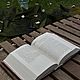 Дом, в котором. Книги. Knizhnyj-krafter. Ярмарка Мастеров.  Фото №5