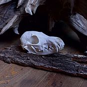 Фен-шуй и эзотерика handmade. Livemaster - original item skull Fox. Handmade.