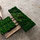 Панно из мха | картина из мха 150*50см. Панно. Green.Box. Интернет-магазин Ярмарка Мастеров.  Фото №2