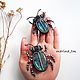  'beetles with labradorites 2', Brooches, Eniseisk,  Фото №1