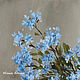 Oil painting ' forget-Me-not azure gaze'. Pictures. yuliabogun. Online shopping on My Livemaster.  Фото №2