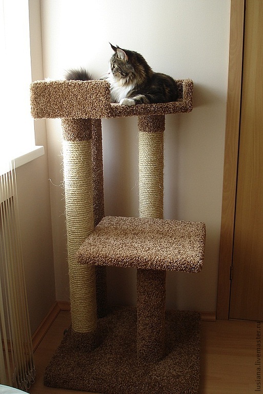 cat scratching post with bed