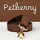 Бархатный поводок для собак в разных цветах. Поводки. Petberry. Интернет-магазин Ярмарка Мастеров.  Фото №2
