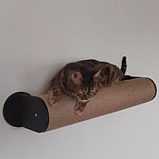 Wall-mounted complex for cats 