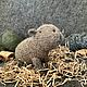 Капибара малыш. Мягкие игрушки. Игрушки добрые (Оксана). Ярмарка Мастеров.  Фото №7