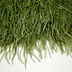 Braid of ostrich feathers 10-15 cm marsh-green. braid. Weakne - furniture and fabrics (weakne). Online shopping on My Livemaster.  Фото №2