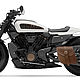 The trunk for the Harley Davidson Sportster S 2021 pendulum is brown, Travel bag, Ekaterinburg,  Фото №1