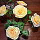 букетик из 5 роз, Растения, Астрахань,  Фото №1