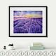 Painting lavender field at sunset in the style of French Provence. Lavender, Pictures, Moscow,  Фото №1