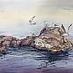  Gulls on the rocks, Pictures, Korsakov,  Фото №1