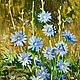  Oil painting ' Chicory'. Pictures. Fine Art for Joy. Online shopping on My Livemaster.  Фото №2