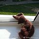 Knitted Dachshund - knitted puppy knitted toy. Stuffed Toys. Warm toys. My Livemaster. Фото №4