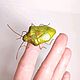 Маленький зеленый клоп. Green Shield Bug. Palomena Prasina (фигурка). Статуэтки. Букашки. Интернет-магазин Ярмарка Мастеров.  Фото №2
