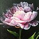 Oil painting 'Peony in bloom' 20*25 cm, Pictures, Moscow,  Фото №1