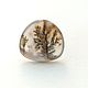 Ring with landscape agate 'Last year's leaves', silver, Rings, Moscow,  Фото №1