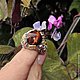Кольцо с холцедоновым кварцем кабошон Осенний Вальс, Кольца, Лондон,  Фото №1