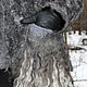 jacket 'extravagant gray', Fur Coats, Gorodok,  Фото №1