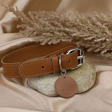 Зоотовары ручной работы. Ярмарка Мастеров - ручная работа Ошейник  из натуральной кожи для собак мелких пород. Handmade.