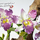 Композиция "Орхидея каттлея", Цветы, Владивосток,  Фото №1