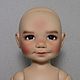  Bailey Meadow dolls 46 см. Шарнирная кукла. Мини Модницы. Ярмарка Мастеров.  Фото №4