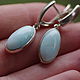 earrings with blue opal. Earrings. EdGems jewerly. Online shopping on My Livemaster.  Фото №2