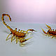 Interior glass sculpture - Scorpio was Virtally. Figurines. In Glass. Online shopping on My Livemaster.  Фото №2